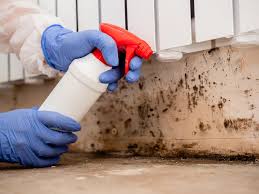 Best Air Quality Testing for Mold Spores in USA